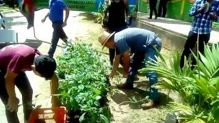CAMPAÑA  DE REFORESTACIÓN EN TOTOGALPA.