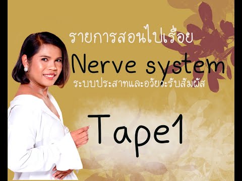 รายการสอนไปเรื่อยรายการเรียนออนไลน์ I เทปที่ 1 - เซลล์ประสาทและการทำงานของเซลล์ประสาท