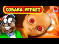 СТРАННЫЙ РЕБЕНОК против  МАКСА ! СОБАКА ИГРАЕТ! (The Baby In Yellow) Валеришка Макс