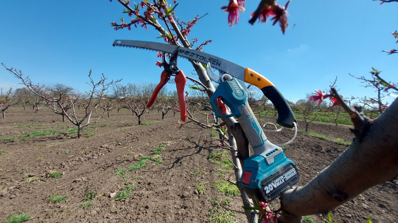 Аккумуляторный секатор TOTAL, нажовка Tolsen, секатор Bahco. - YouTube