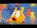 ¿Dónde está Chicky? 2023 | Estadio de fútbol | Dibujos Animados Para Niños | Nuevos episodios