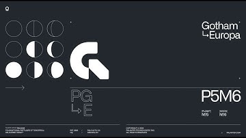 Palantir Gotham: Europa