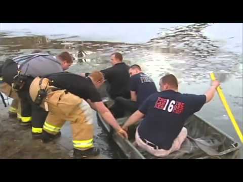 მაშველები, ძაღლი რომელიც სიკვდილს გადაარჩინეს,