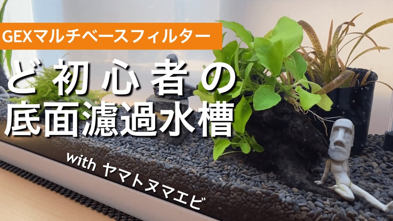 【めだか】GEXマルチベースフィルターで初心者の底面濾過水槽立ち上げ