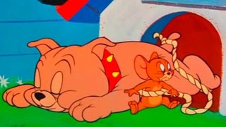 ... tom and jerry - tops with pops episode 105 cartoon ► iukeit...