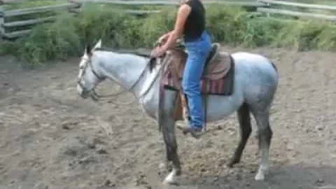 Rachel Bonine,  Horse Bucks for No Reason, UnEdite...