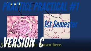 A&P PRACTICE PRACTICAL: 1st Semester Practice Practical #1 Version C