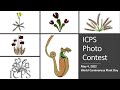 International carnivorous plant societys annual photo contest