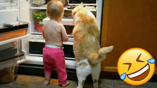 🤣🤣Hilarious Cats and Dogs 😹 Funniest Animals 2024🐱🐶 by Crazy Cat Official  1,009 views 7 days ago 31 minutes