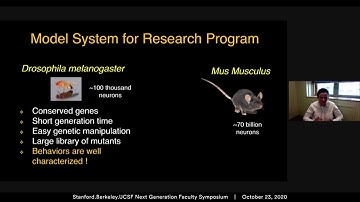 Investigating the underlying neural circuits that regulate female aggressive behavior