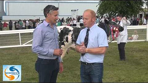 Watch the video about British Blue Championship Judging at the Royal Highland Show 2013