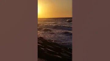 عبد الحليم حافظ ولا بتهدى ولا بترتاح فى يوم يا قلبى 