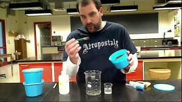 Rearing Entomopathogenic Nematodes