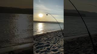 Plunking for Chinook & Steelhead Columbia River #pnw #fishing #outdoors #ledzeppelin