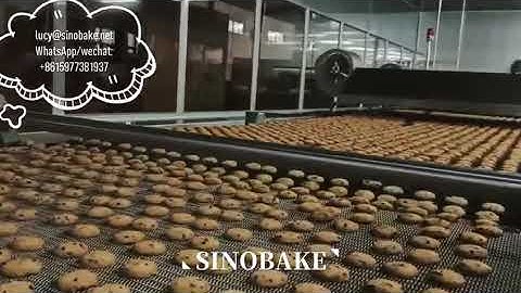 #SINOBAKE COMPLETE WIRE CUT CHOCOLATE CHIPS COOKIE PRODUCTION LINE#
