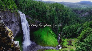 Nature&#39;s Symphony: Calming Sounds of the Outdoors - Into the Wild: A Relaxing Nature Escape