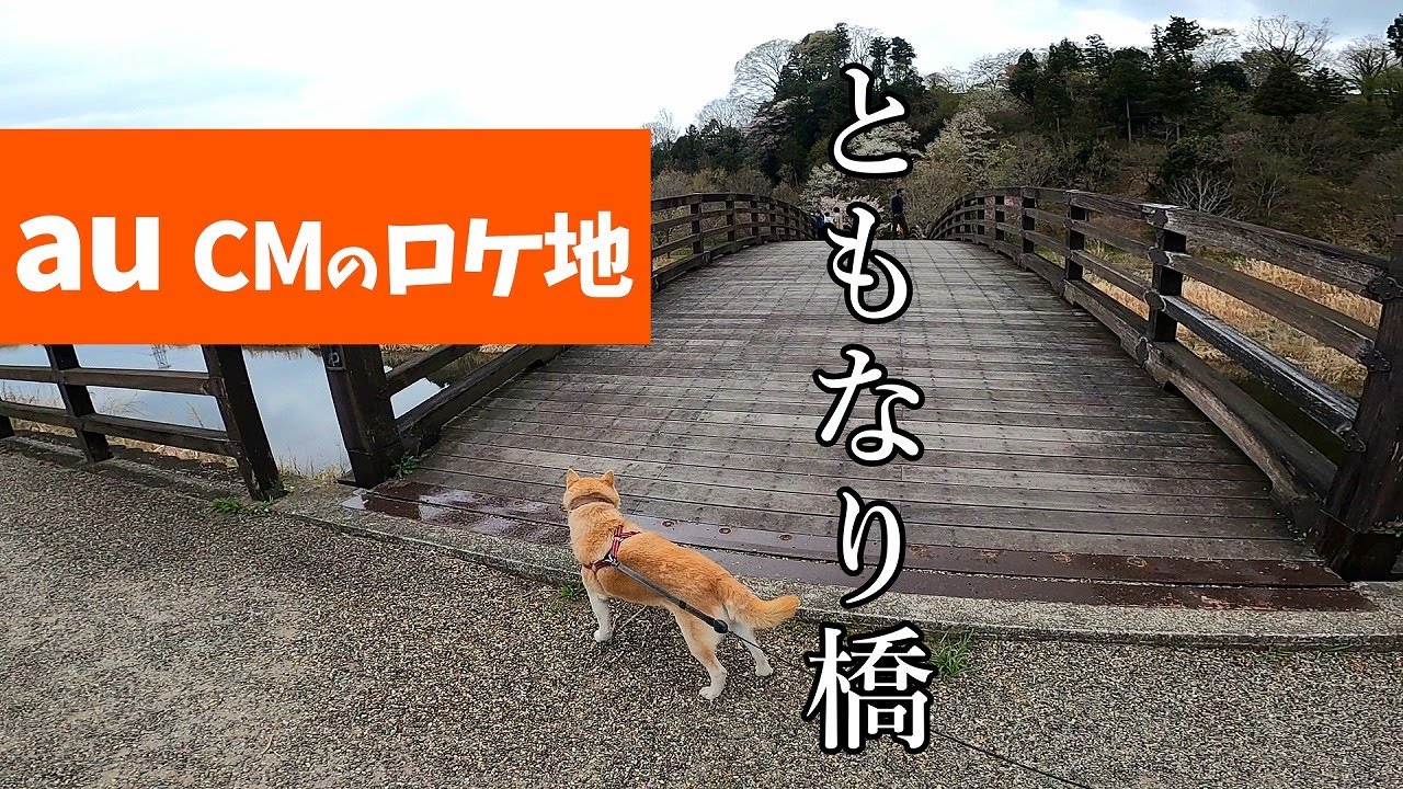 Auのcm 一休ちゃん 登場篇 の舞台になったともなり橋へ 矢板市本町 Youtube Auのcm 一休ちゃん 登場篇 の舞台になったともなり橋へ 矢板市本町 Youtube