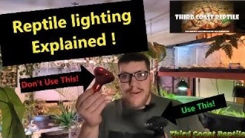 Reptile Lighting Explained!