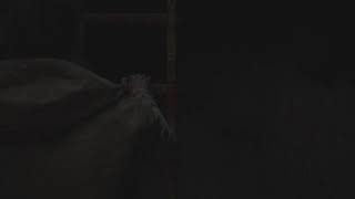 Re8 village of shadows