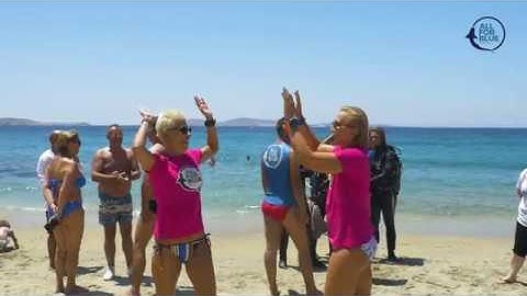 Mykonos - Save The Seas