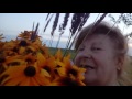 видео селфи с полевыми цветами