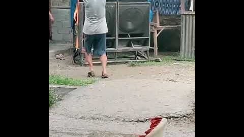 Joget asik didepan sound || Kakeknya siapa nih🤣