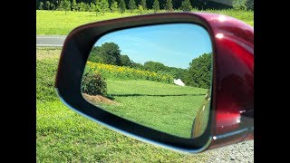 Day 742 Tesla Ruby Basks in the Sunflowers