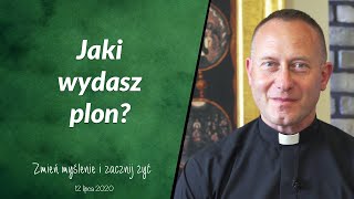 Jaki wydasz plon? - ks. Dominik Chmielewski ( Mt 13,1-23 )