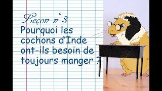 Pourquoi ont-ils besoin de manger tout le temps ?