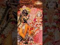 Happy new year radhe krishna #radhe radhe #special 2025 status #new year reel video
