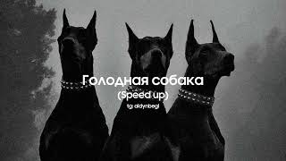 V $ X V PRiNCE - Голодная собака (speed up) (tiktok version) | tg: aidynbegi Resimi