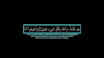 ما أصاب من مصيبة إلا بإذن الله|ماتيسر من سورة التغابن القارئ محمود السعيد كروما شاشة سوداء قرآن كريم