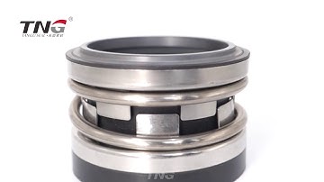 Mechanical seal John Crane Type2100 Replacement