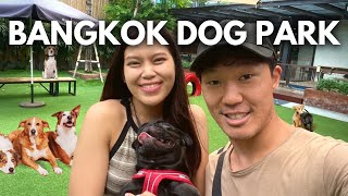 You Must Visit This in Bangkok A Day at 1 Dog Park