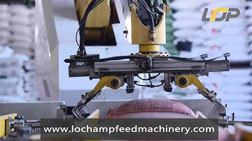 LOP Robot Palleziter,Robot Palletiser,LoChamp Machinery Manufacturing Co.Ltd