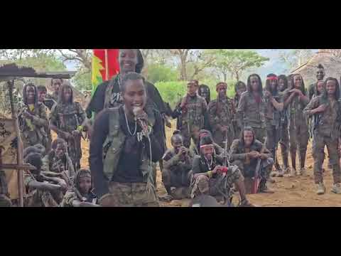 Geerarsa Xiqoftuu Ilma Jaal Qeerransoo Fi WBO Orimiyaa