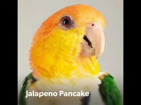 Video: Jalapeno Pancake