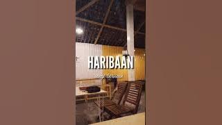 HARIBAAN-SOEGI BORNEAN (LIRIK)