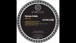 Aaron Adley - The Sunset Will Never Charm Us (Original Mix) [Aenaria Tribal]