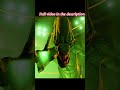 GtA 5: Aliens attacks Michael🥶🤯 #gta #edit #shorts
