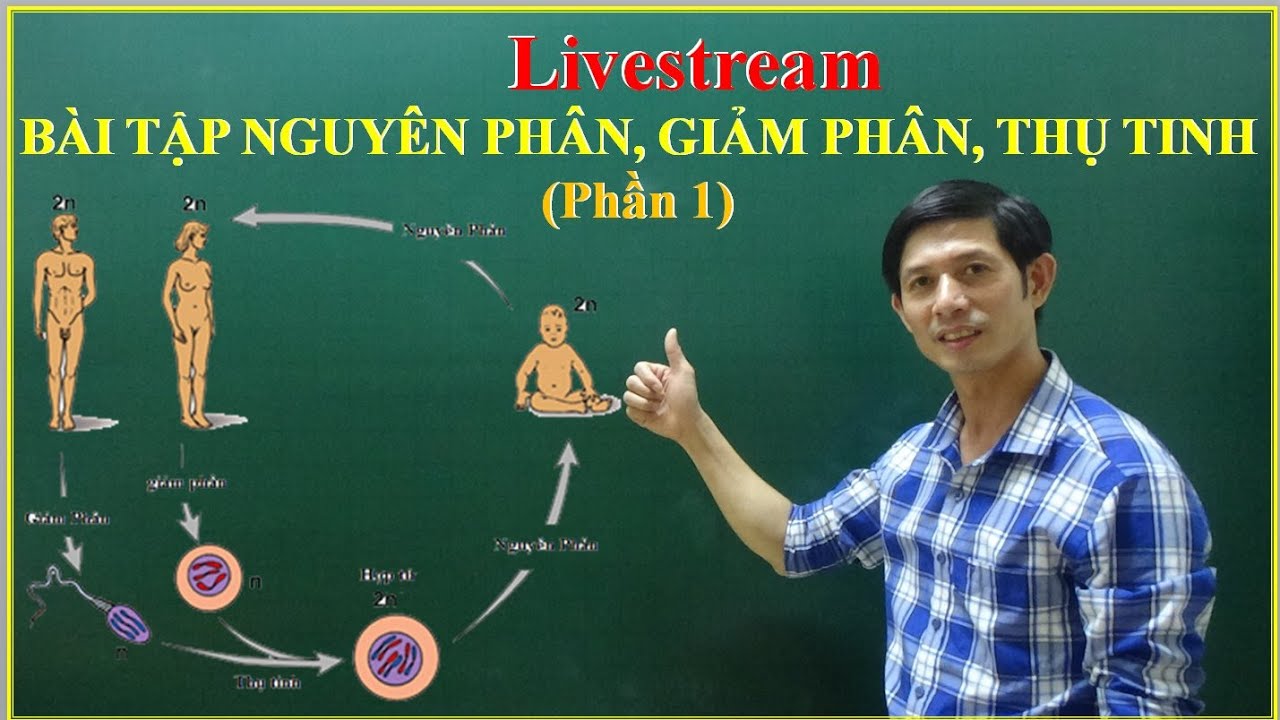 Bài Tập Nguyên Phân Giảm Phân Thụ Tinh (Phần 1)