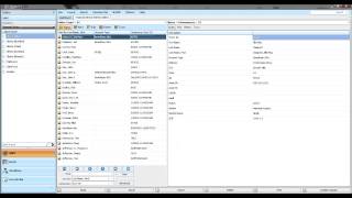 Cabinet Demo: Cabinet SAFE Filing System Structure Overview