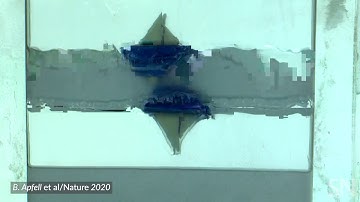 Watch a toy boat float upside down  | Science News