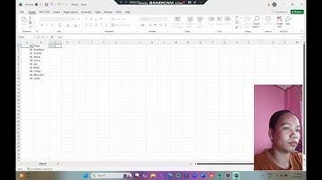 Microsoft Excel Video Activity: Arithmetic Operations, Sorting and Charting