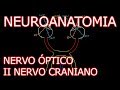 Aula: Neuroanatomia - Nervo Óptico (II Nervo Craniano) e o Sistema Visual | Neuroanatomia #6.2