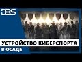 КАК УСТРОЕН КИБЕРСПОРТ В ОСАДЕ