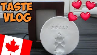 A BITTERSWEET CANADA DAY | TASTE VLOG - JULY 1 2020