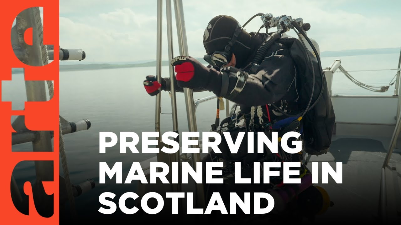 Restoring Scotland's Coastal Waters (2024)