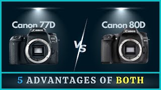 Canon 77D vs 80D | 5 Common Strengths & Weaknesses