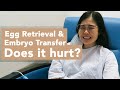 IVF Egg Retrieval & Embryo Transfer - Does it hurt? What to expect & real footage of my experiences